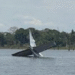 FAB intercepta avião venezuelano com drogas; piloto lançou a aeronave irregular em represa no AM