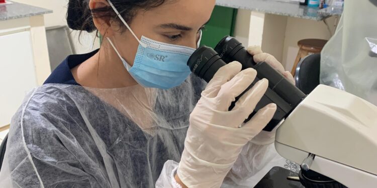 Pesquisa acadêmica aponta alta incidência de doenças parasitárias em áreas vulneráveis de Manacapuru