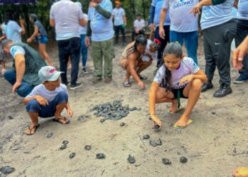 Projeto Casco Vivo fortalece conservação de tartarugas na Amazônia