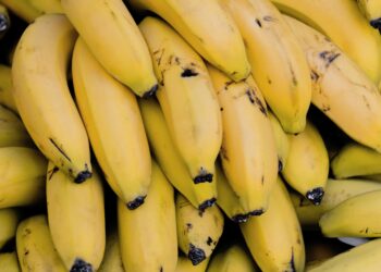 Dia da Banana – Fruta com feira exclusiva, em Manaus, tem nutrientes e previne doenças, confira:
