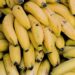 Dia da Banana – Fruta com feira exclusiva, em Manaus, tem nutrientes e previne doenças, confira:
