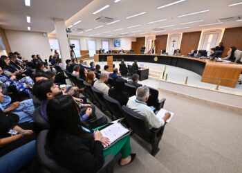 Prefeita de Nova Olinda do Norte é multada pelo TCE-AM em R$ 14 mil por irregularidades em pregão presencial