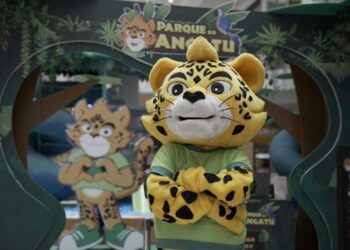 Amazonas Shopping prepara programação especial para as crianças, na Toca do Angatu