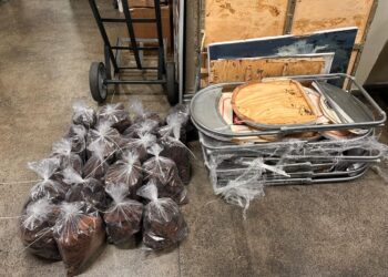 Cocaína negra: Polícia do AM apreende drogas avaliadas em R$ 19,5 milhões que iriam para Austrália