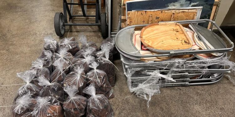 Cocaína negra: Polícia do AM apreende drogas avaliadas em R$ 19,5 milhões que iriam para Austrália