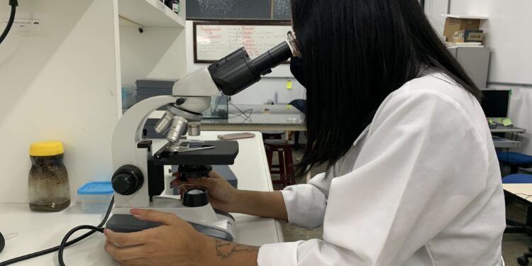 Jornada farmacêutica explora potencial da biodiversidade amazônica na saúde