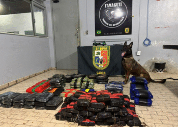 Polícias Federal e Militar apreendem drogas em porão de embarcação na fronteira do Amazonas