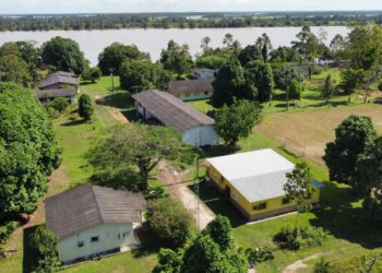 No AM, projeto cria ponte tecnológica entre a biodiversidade brasileira e indústrias europeias