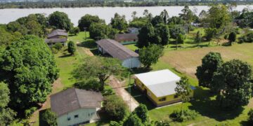 No AM, projeto cria ponte tecnológica entre a biodiversidade brasileira e indústrias europeias