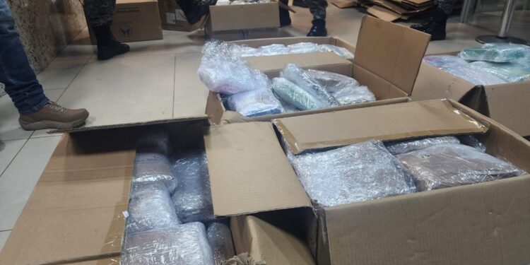 Polícias apreendem meia tonelada de drogas e prendem casal em Manaus