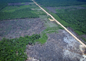 Mesmo ameaçados, povos indígenas têm as soluções para impactos da BR-319, diz pesquisador 