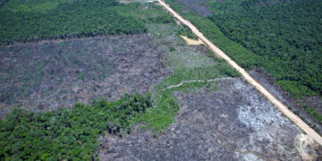 Mesmo ameaçados, povos indígenas têm as soluções para impactos da BR-319, diz pesquisador 
