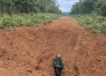 Exército interdita pistas clandestinas de pouso na Terra Indígena Yanomami