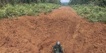 Exército interdita pistas clandestinas de pouso na Terra Indígena Yanomami