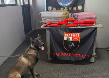 Mulher é presa ao transportar R$ 450 mil em drogas no Amazonas