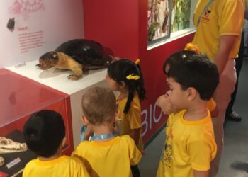 Férias com “Missão Diversão” em Manaus: Instituições promovem colônias criativas e lúdicas para o recesso escolar, abertas a alunos de todas as escolas