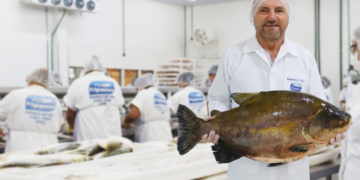 Frigopesca exporta peixes do Amazonas para a mesa dos norte-americanos, nos EUA 
