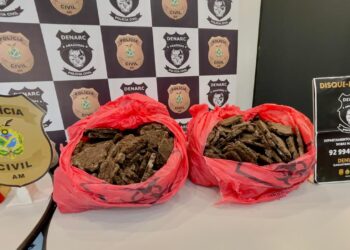PC-AM apreende R$ 19,5 milhões em cocaína e cocaína negra em mansão na Ponta Negra
