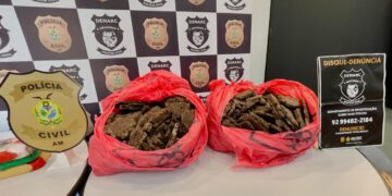 PC-AM apreende R$ 19,5 milhões em cocaína e cocaína negra em mansão na Ponta Negra