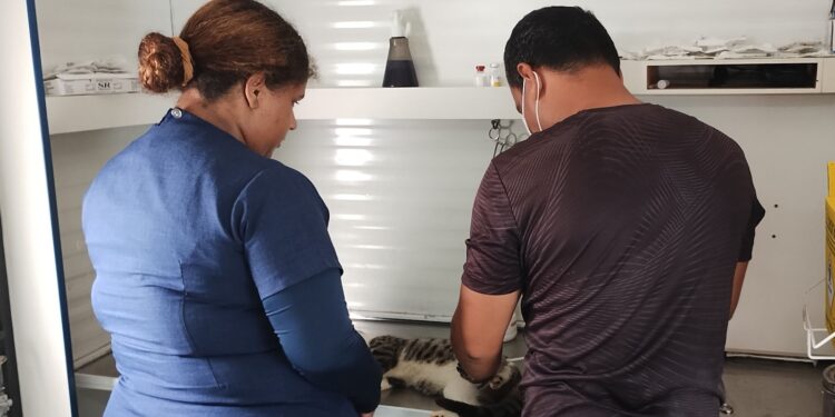 Prefeitura abre vagas para agendamento do serviço de castração de cães e gatos na quinta-feira, 15/1