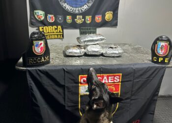 PM prende homem transportando drogas para Manaus