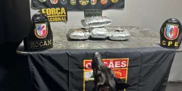 PM prende homem transportando drogas para Manaus