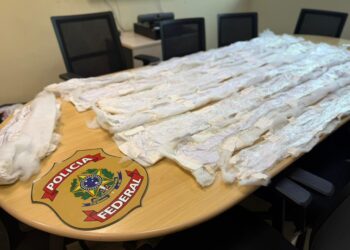 PF prende duas pessoas e apreende cocaína líquida em Correios de Manaus