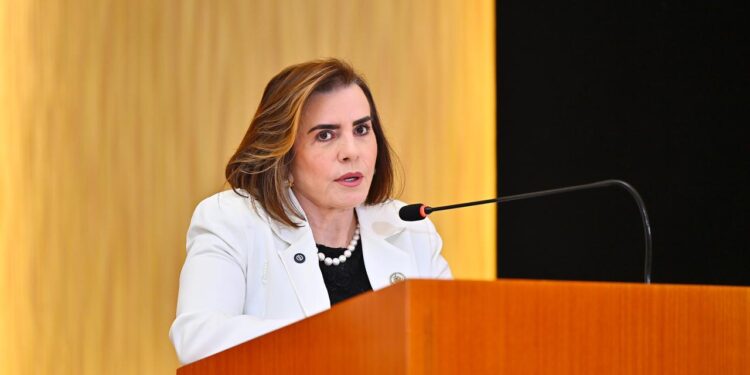 Presidente do TCE-AM destaca papel do poder público na garantia dos direitos fundamentais