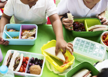 Alimentação equilibrada nos lanches contribui para aprendizado e bem-estar no período escolar
