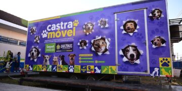 Mega Castração pretende esterilizar mais de 2 mil cães e gatos em Manaus