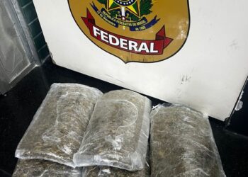 PF prende homem com drogas no Aeroporto de Manaus