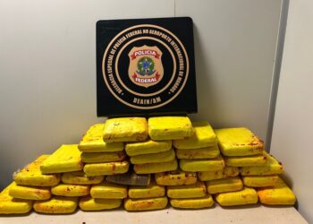 Polícia Federal apreende 37 kg de skunk no Aeroporto de Manaus
