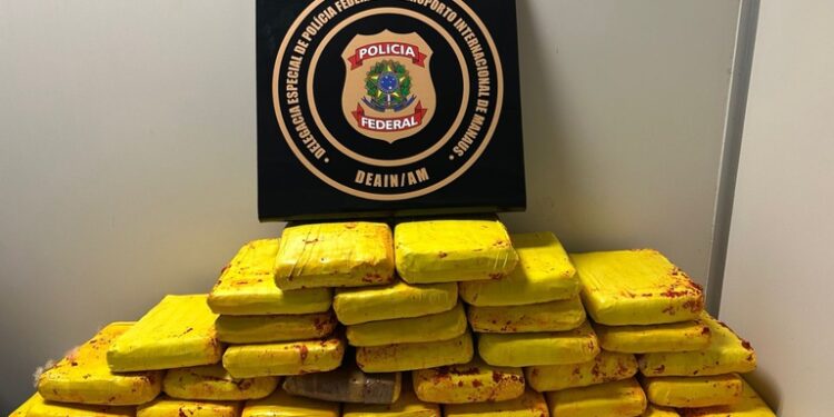 Polícia Federal apreende 37 kg de skunk no Aeroporto de Manaus