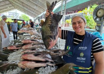 ADS comercializa mais de 37 toneladas de peixe na Semana Santa