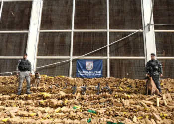 Polícia apreende 48 toneladas de drogas; maior apreensão da história do Brasil