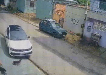 Suspeito de atropelar cães em Manaus é preso ao tentar fugir para São Paulo