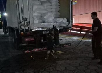 Polícia intercepta R$ 3 milhões em drogas que seriam enviados ao Pará em semirreboque