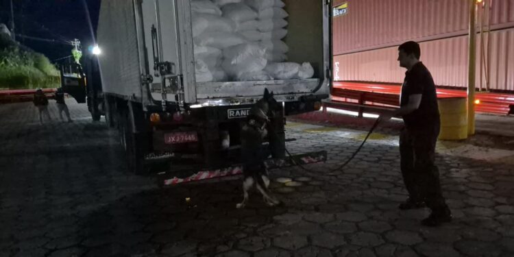 Polícia intercepta R$ 3 milhões em drogas que seriam enviados ao Pará em semirreboque