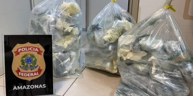 Mulher é presa pela PF ao tentar embarcar com 36 kg de drogas em aeroporto de Manaus