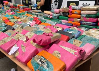Polícia apreende drogas avaliadas em 12,8 milhões no Amazonas