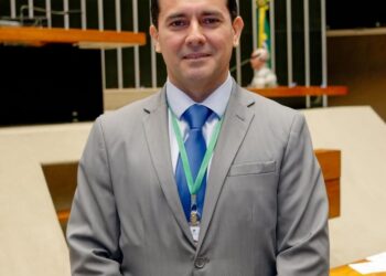 Zona Franca e suas origens: marcos regulatórios Capítulo 20 – A implantação da Zona Franca de Manaus no Porto de Manaus