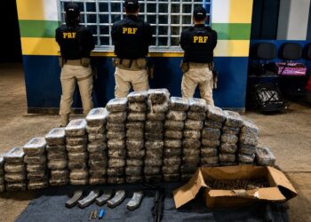 PRF apreende 100 kg de drogas e munições em BR no interior do Amazonas