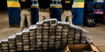 PRF apreende 100 kg de drogas e munições em BR no interior do Amazonas