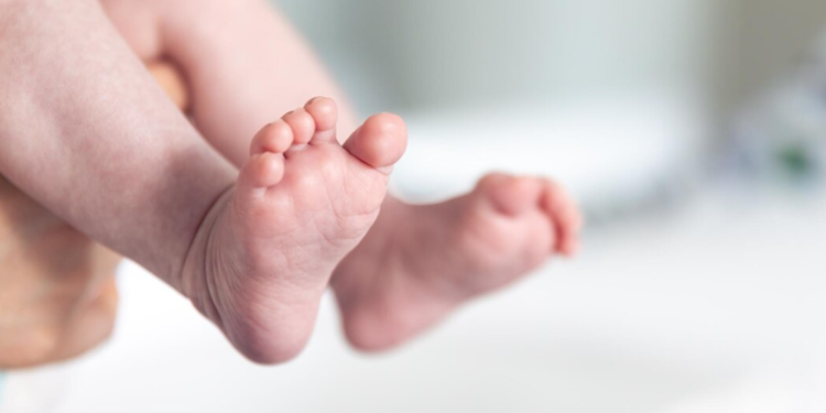 Teste do pezinho é aliado fundamental na prevenção de doenças em recém-nascidos