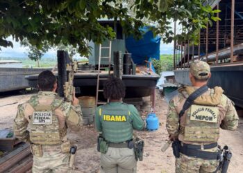 Estaleiro clandestino utilizado para garimpo ilegal é desarticulado em Manaus