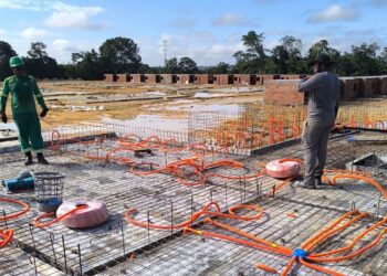 Caroço de tucumã se transforma em bioplástico sustentável para a construção civil