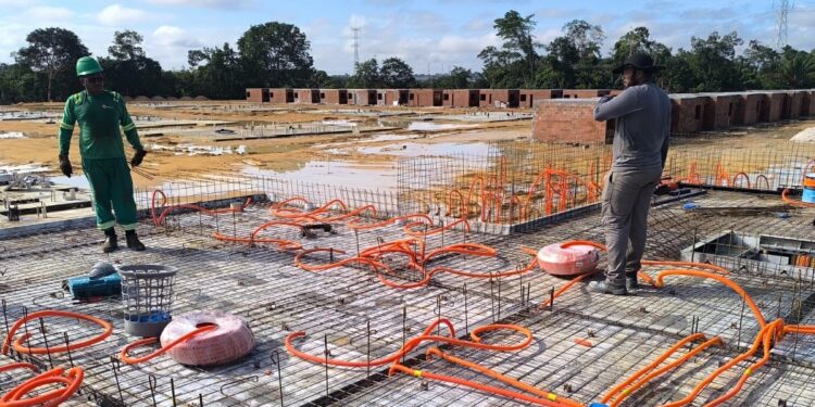 Caroço de tucumã se transforma em bioplástico sustentável para a construção civil