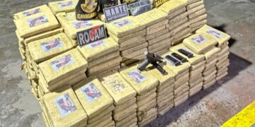 Polícias apreendem mais de 600 quilos de skunk e causam prejuízo de R$ 29,6 milhões ao crime organizado