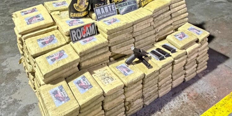 Polícias apreendem mais de 600 quilos de skunk e causam prejuízo de R$ 29,6 milhões ao crime organizado