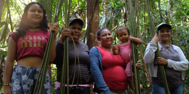 Mulheres Paumari fortalecem tradição do teçume no Amazonas